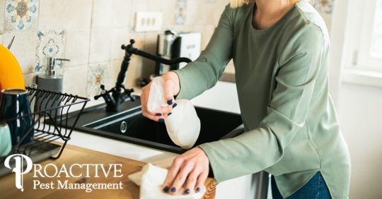 Woman spraying DIY cleaning solution on wooden kitchen countertop